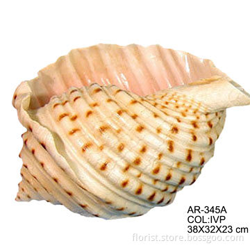 23cm Shell Planter